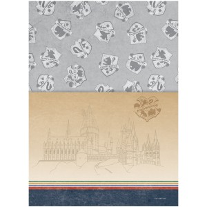 Caderno 10 Matérias Universitário Espiral Harry Potter - Jandaia