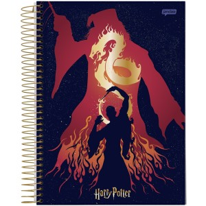 Caderno 1 Matéria Universitário Espiral Harry Potter - Jandaia