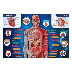 Quebra-cabeça 200 peças Corpo Humano - Grow