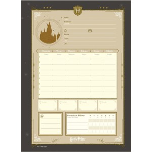 Caderno 10 Matérias Universitário Espiral Harry Potter - Jandaia