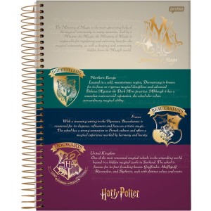 Caderno 10 Matérias COLEGIAL Espiral Harry Potter - Jandaia