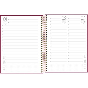 Agenda Executiva Espiral Diária 17,7 x 24 cm Lume 2027 Sortida - Tilibra