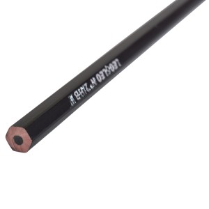Lápis Preto HB Sextavado Kit c/ 10 unidades - Leo&Leo