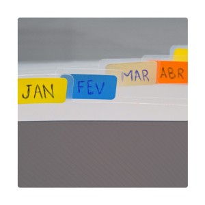 Pasta Sanfonada A4 Com 12 Divisórias Fumê Line - DAC